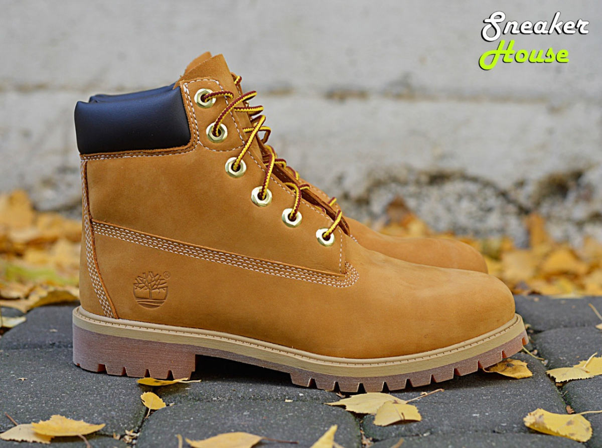 timberland premium wp